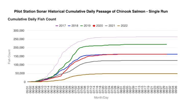 Chinook Salmon Single Run