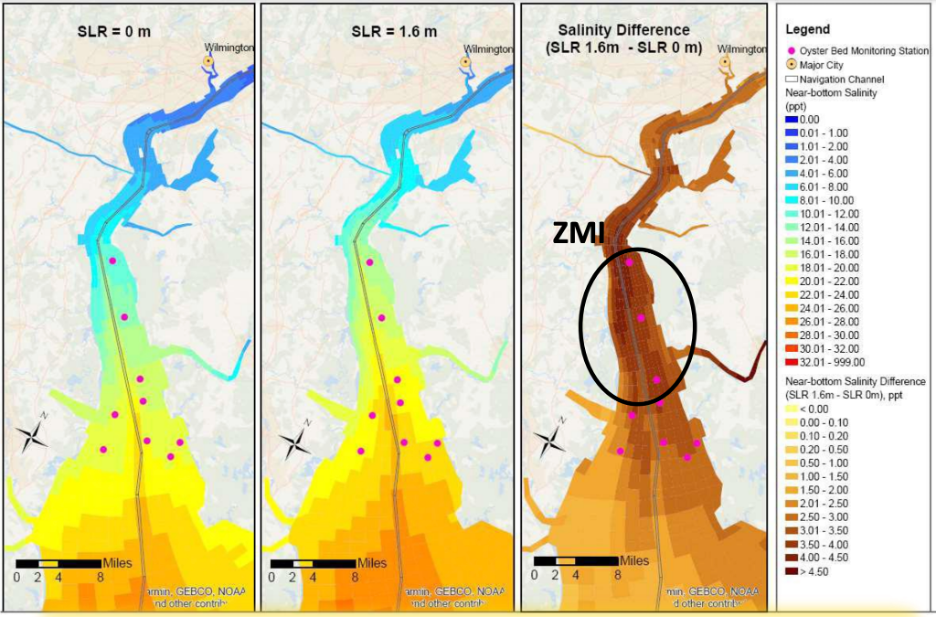 Delaware River Basin Sea Level Rise Salinity