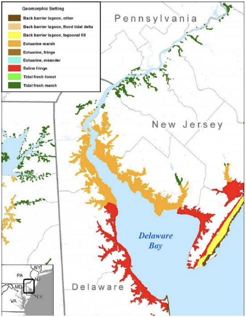 Delaware River Basin Tidal Wetland Habitat