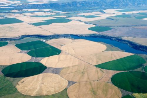 Land Cover and Land-Use Change